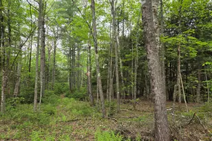 1462 Waterville, Waldo, ME 04915 - Photo 24
