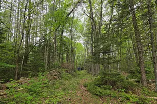 1462 Waterville, Waldo, ME 04915 - Photo 22