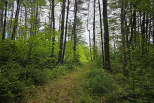 1462 Waterville, Waldo, ME 04915 - Photo 20