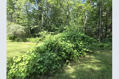 1462 Waterville, Waldo, ME 04915 - Photo 48