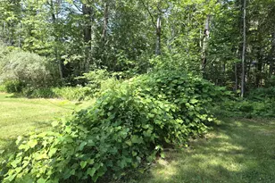 1462 Waterville, Waldo, ME 04915 - Photo 48