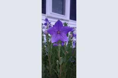 8 Christian Row, Buxton, ME 04093 - Photo 12