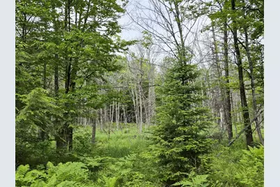 137 Butterfield Road, New Sharon, ME 04955 - Photo 26
