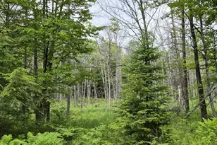 137 Butterfield Rd, New Sharon, ME 04955 - Photo 26