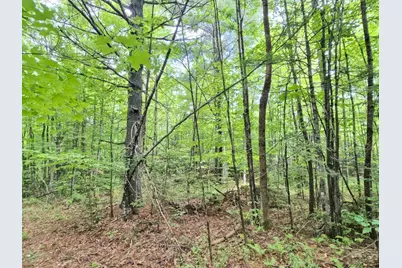 137 Butterfield Road, New Sharon, ME 04955 - Photo 24