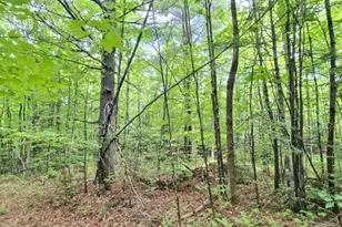 137 Butterfield Rd, New Sharon, ME 04955 - Photo 24