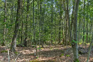 81 Mountain Rd, York, ME 03902 - Photo 1