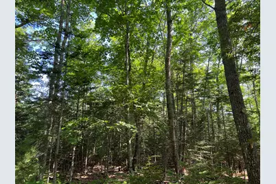 00Lowerfal Lower Falls Road, Orland, ME 04472 - Photo 10