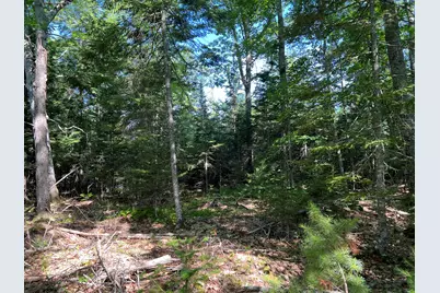 00Lowerfal Lower Falls Road, Orland, ME 04472 - Photo 8