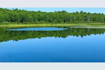 00Lowerfal Lower Falls Road, Orland, ME 04472 - Photo 1