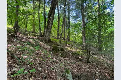 50 Wilderness Park Road, Mattawamkeag, ME 04459 - Photo 18