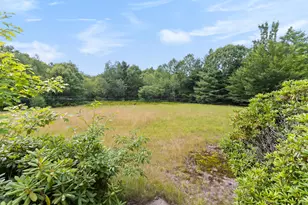 38 Sampson Ln, Parsonsfield, ME 04047 - Photo 40