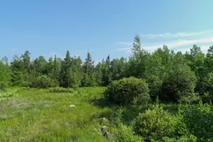 485 Hudson Rd, Corinth, ME 04427 - Photo 14
