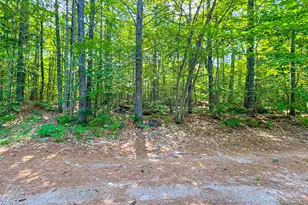 39 Wells Rd, Bridgton, ME 04009 - Photo 70