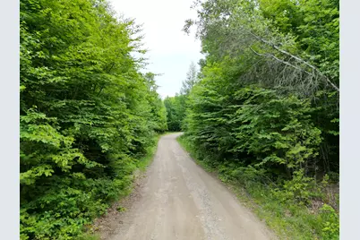 135 Clearcut Lodge Road, Springfield, ME 04487 - Photo 12