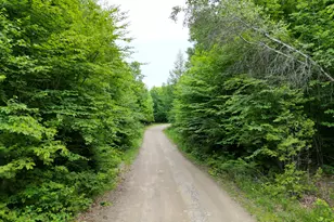 135 Clearcut Lodge Rd, Springfield, ME 04487 - Photo 12