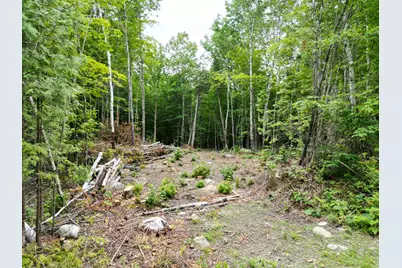 135 Clearcut Lodge Road, Springfield, ME 04487 - Photo 16