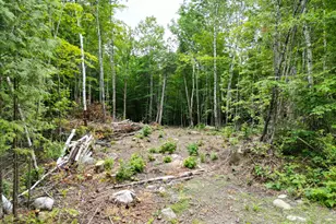 135 Clearcut Lodge Rd, Springfield, ME 04487 - Photo 16