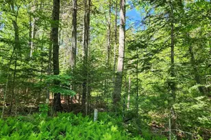 78 Old County Rd, Damariscotta, ME 04543 - Photo 18