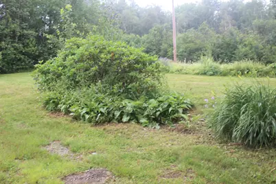 228 Wilcox Road, Trescott Twp, ME 04652 - Photo 34