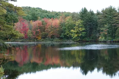 13 & 16 Joyal Hill Lane, Casco, ME 04015 - Photo 98
