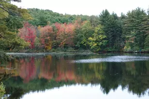 13 & 16 Joyal Hill Ln, Casco, ME 04015 - Photo 98