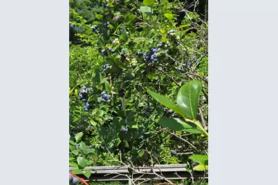136 Station Road, Hebron, ME 04238 - Photo 38