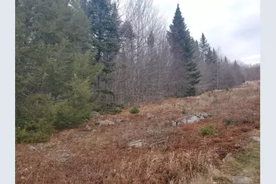 Lot 4 Rocky Hill Road, Island Falls, ME 04747 - Photo 10