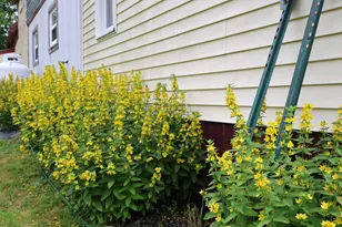 1146 Post Rd, Bowdoinham, ME 04008 - Photo 74