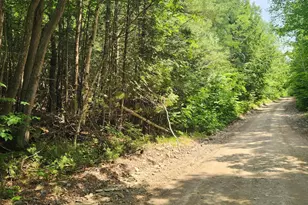 Lot #44 Mill Hill Rd, Springfield, ME 04487 - Photo 1