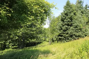385 Main St, East Machias, ME 04630 - Photo 70