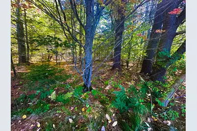60 Constitution Avenue, Hampden, ME 04444 - Photo 6