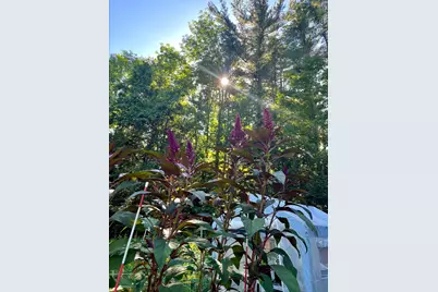 60 Merritt Street, Canaan, ME 04924 - Photo 40