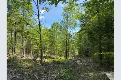 0 Fosterville Road, Bridgton, ME 04009 - Photo 4