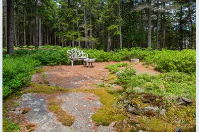 41 Fernald Point Road, Southwest Harbor, ME 04679 - Photo 26
