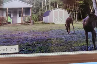 1053 Hudson Hill Rd, Hudson, ME 04449 - Photo 66