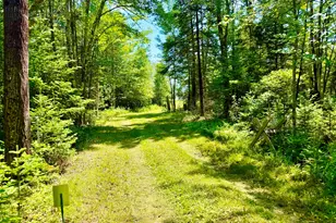 1053 Hudson Hill Rd, Hudson, ME 04449 - Photo 10