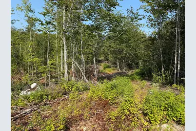 Tbd Oak Mountain Road, Springfield, ME 04487 - Photo 4