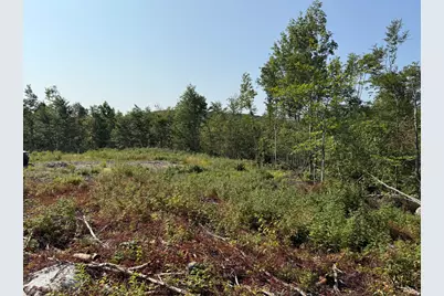 Tbd Oak Mountain Road, Springfield, ME 04487 - Photo 2