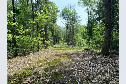 00 North Road Lot #3, Parsonsfield, ME 04047 - Photo 16