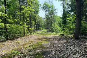 00 North Rd, Parsonsfield, ME 04047 - Photo 16