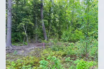 00 North Road Lot #3, Parsonsfield, ME 04047 - Photo 14