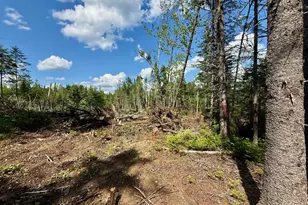 Tbd Loon Bay Rd, Dyer Twp, ME 04492 - Photo 40