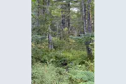 110 Calderwood Road, Washington, ME 04574 - Photo 4