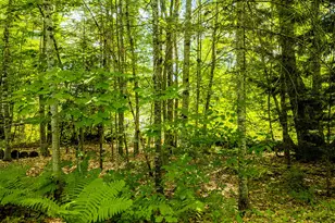345 Buzzell Hill Rd, Hope, ME 04847 - Photo 28