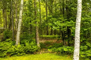 345 Buzzell Hill Rd, Hope, ME 04847 - Photo 30