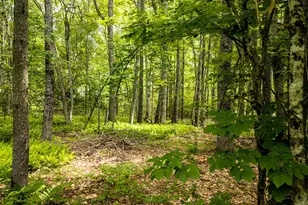 345 Buzzell Hill Rd, Hope, ME 04847 - Photo 2