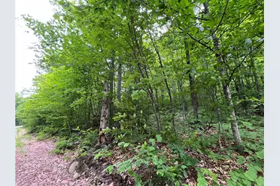 6 Mahoosuc Glen, Newry, ME 04261 - Photo 6
