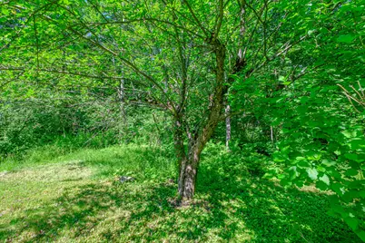 146 Demeritt Road, Newfield, ME 04095 - Photo 32