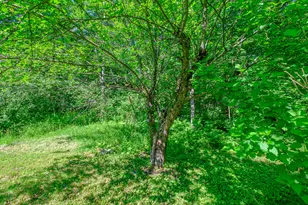146 Demeritt Rd, Newfield, ME 04095 - Photo 32